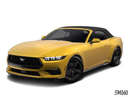 FORD MUSTANG CONVERTIBLE ECOBOOST PREMIUM 2024 photo-1