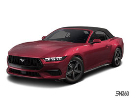 FORD MUSTANG CONVERTIBLE ECOBOOST 2025 photo-1