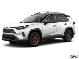 2025 TOYOTA RAV4 Hybrid WOODLAND photo-1