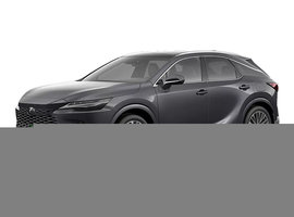 2026 LEXUS RX LUXURY photo-1