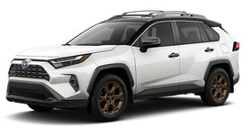 2025 TOYOTA RAV4 Hybrid WOODLAND photo-1