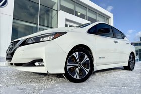 Nissan Leaf  2019