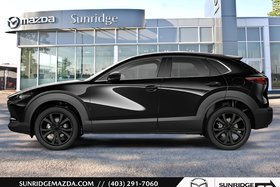 2025 Mazda CX-30 GT Turbo Engine