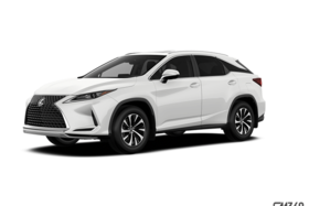 Luxury 11 2020 Lexus F Series