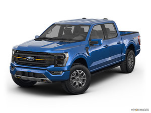 Ford F-150 TREMOR 2023 - photo 2