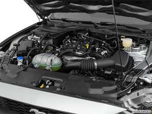 Ford Mustang Fastback EcoBoost Premium 2023 - photo 4