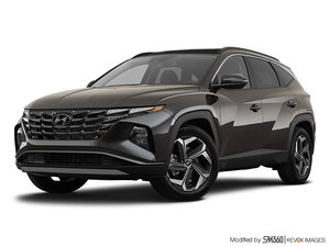 Hyundai Tucson Hybrid Luxury  2023 - photo 11