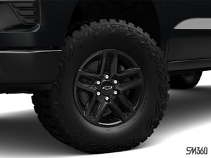 Chevrolet Silverado 1500 Custom Trail Boss 2025 - photo 3