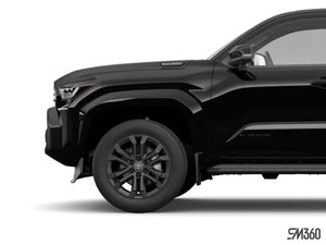 Toyota 4Runner Hybrid Platinum with Fixed Running Board 2025 - photo 5