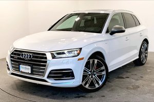 2018 Audi SQ5 3.0T Technik quattro 8sp Tiptronic