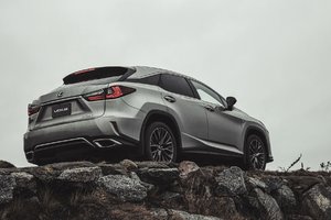 The 2018 Lexus RX