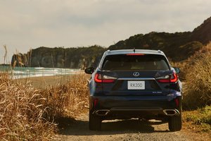 The 2018 Lexus RX