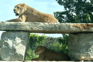 Top 5 Places To Visit In Goderich