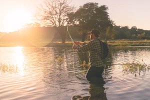 Fun Things To Do In Oakville This Summer