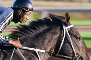 Top 5 Places To Visit In Georgetown