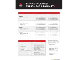 Service package chart for Turbo - Evo