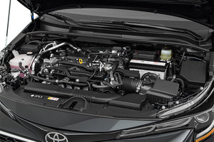 Toyota Corolla Hatchback 2020 en location