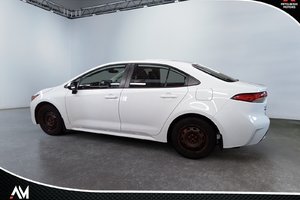 Toyota Corolla LE 2020