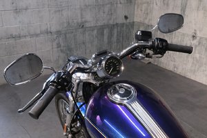 Harley-Davidson SPORTSTER 1200 CUSTOM (XL1200C)  2009