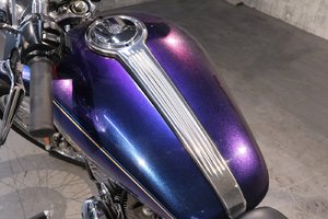 Harley-Davidson SPORTSTER 1200 CUSTOM (XL1200C)  2009