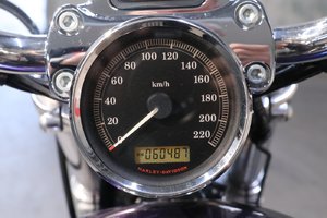 Harley-Davidson SPORTSTER 1200 CUSTOM (XL1200C)  2009