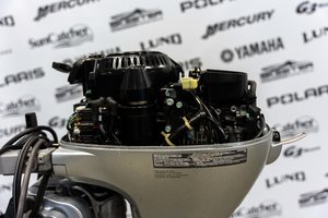2018 Honda BF20D