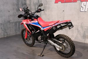 2024 Honda CRF 300 RALLY