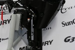 Mercury 15ELH À DÉMARREUR ÉLECTRIQUE, LONG (20 POUCES) 2022