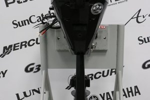 Mercury 15ELH À DÉMARREUR ÉLECTRIQUE, LONG (20 POUCES) 2022