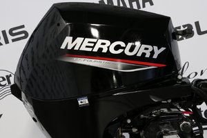 Mercury 15ELH À DÉMARREUR ÉLECTRIQUE, LONG (20 POUCES) 2022