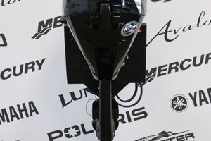 Mercury 15ELH À DÉMARREUR ÉLECTRIQUE, LONG (20 POUCES) ENR. 2025