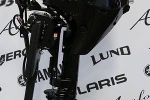 Mercury 15ELH À DÉMARREUR ÉLECTRIQUE, LONG (20 POUCES) ENR. 2025