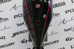 Mercury 250XL PRO XS DTS X-LONG (25 POUCES) 2025