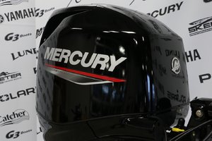 Mercury 50ELHPT DÉMARREUR ÉLÈCTRIQUE, LONG (20 POUCES) 2025