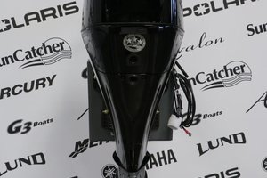 Mercury 50ELHPT DÉMARREUR ÉLÈCTRIQUE, LONG (20 POUCES) 2025