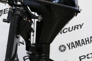 2025 Mercury 9.9EH EFI À DÉMARREUR ÉLÈCTRIQUE, COURT (15 POUCES)