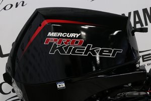 2024 Mercury 9.9ELHPT PK EFI À DÉMARREUR ÉLÈCTRIQUE, LONG (20 POUCES)