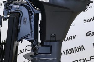 2025 Yamaha 9.9 HP COURT (15 POUCES)