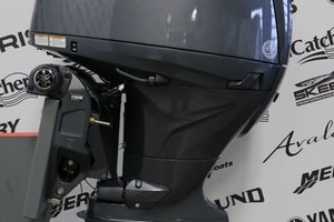 Yamaha F150LC LONG (20 POUCES) 2025
