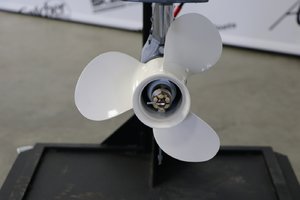 Yamaha F20SWHB COURT (15 POUCES) 2025
