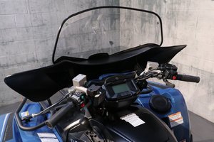 2025 Yamaha GRIZZLY 700 DAE SE