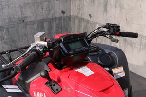 2025 Yamaha GRIZZLY 700  DAE