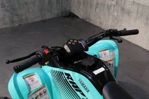 2025 Yamaha RAPTOR 110