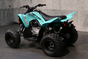 2025 Yamaha RAPTOR 110