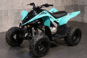 2025 Yamaha RAPTOR 110