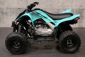2025 Yamaha RAPTOR 110
