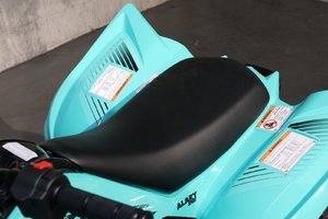 2025 Yamaha RAPTOR 110