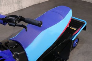 Yamaha SNOSCOOT ES  2025