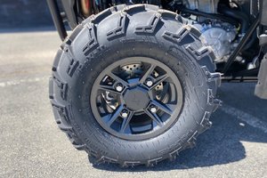 Polaris RZR 900 Trail ULTIMATE SAND DUNE 2025