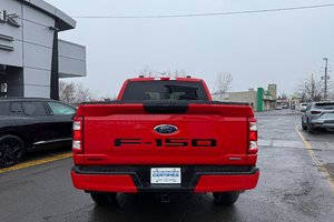 2023 Ford F-150 XL STX